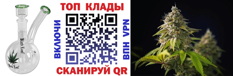 МЕФ Каменногорск