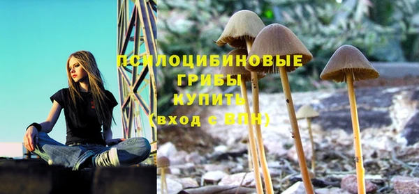 сатива Каменск-Шахтинский