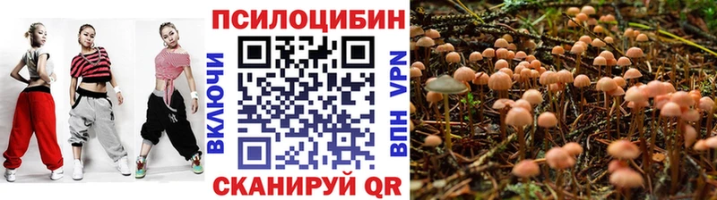 Купить  Каменногорск  Псилоцибиновые грибы Magic Shrooms 
