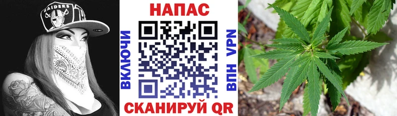 Купить закладки  Каменногорск  Бошки марихуана марихуана 